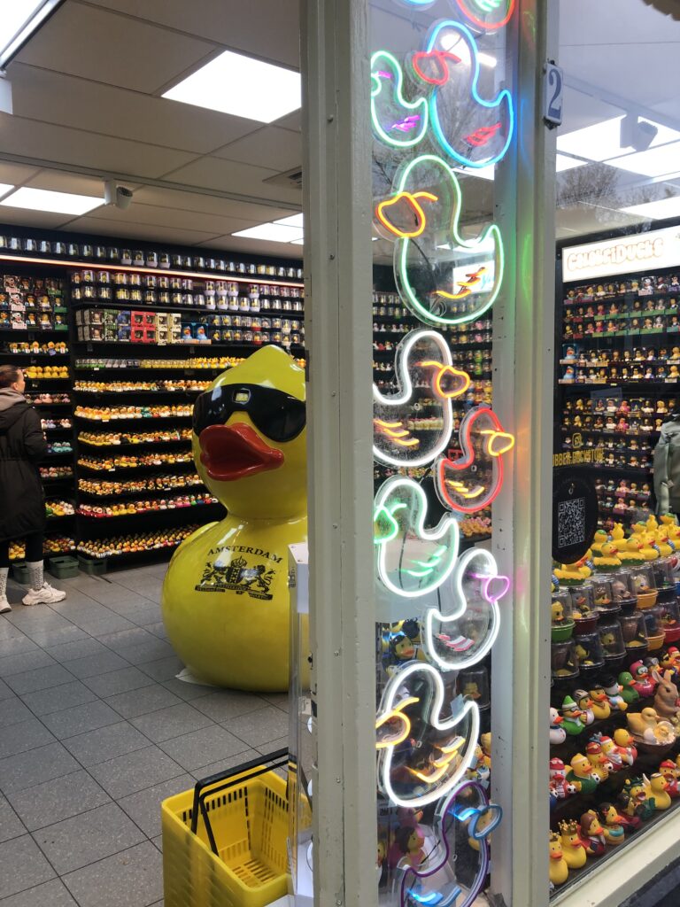 Amsterdam ducks