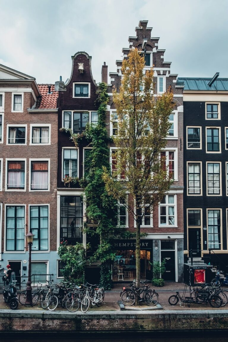 Amsterdam in one day