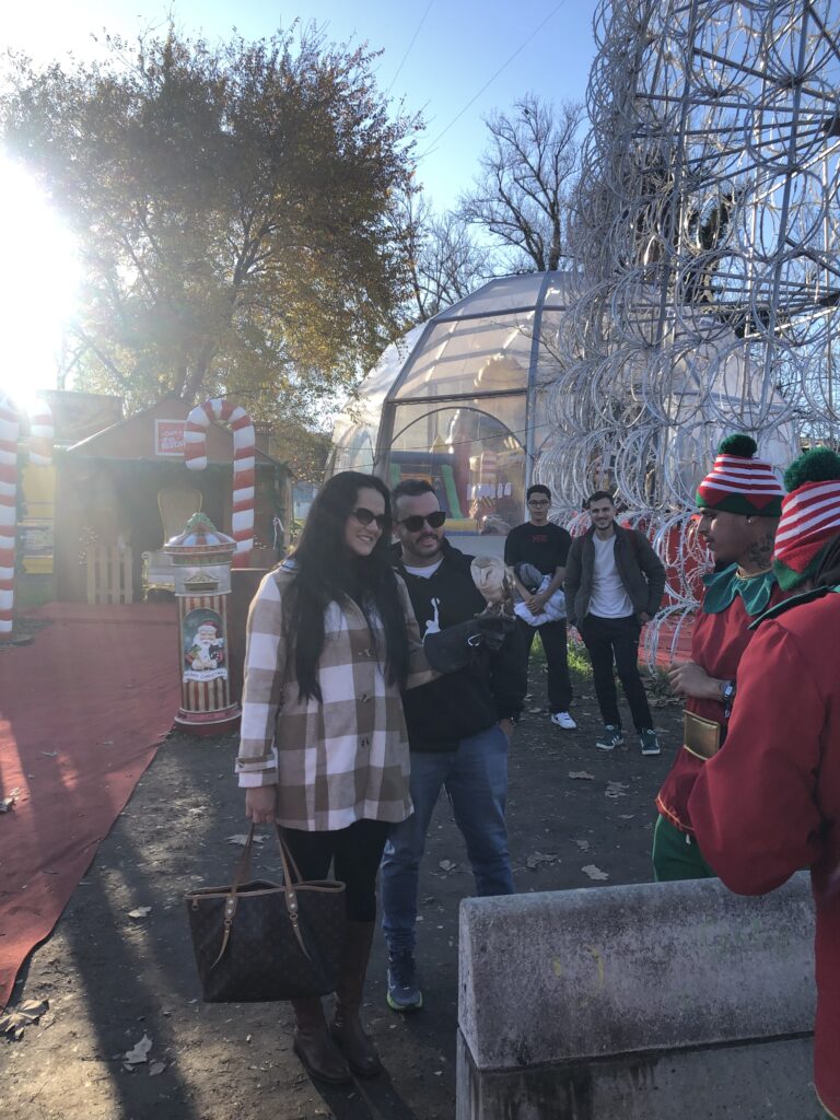 Christmas Market coimbra