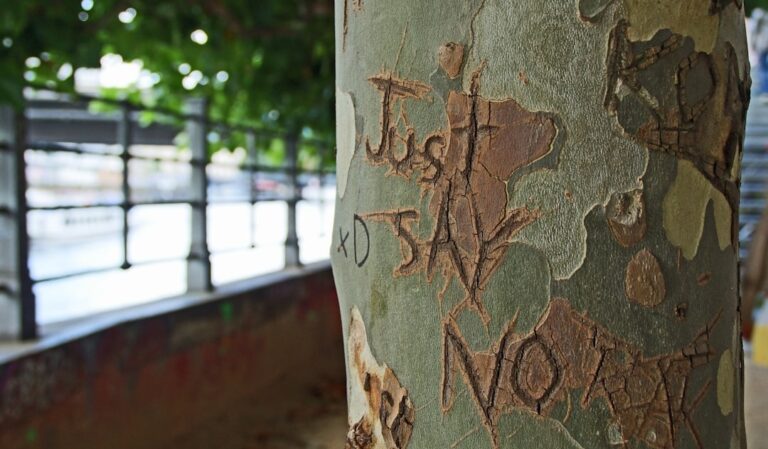 Just say No